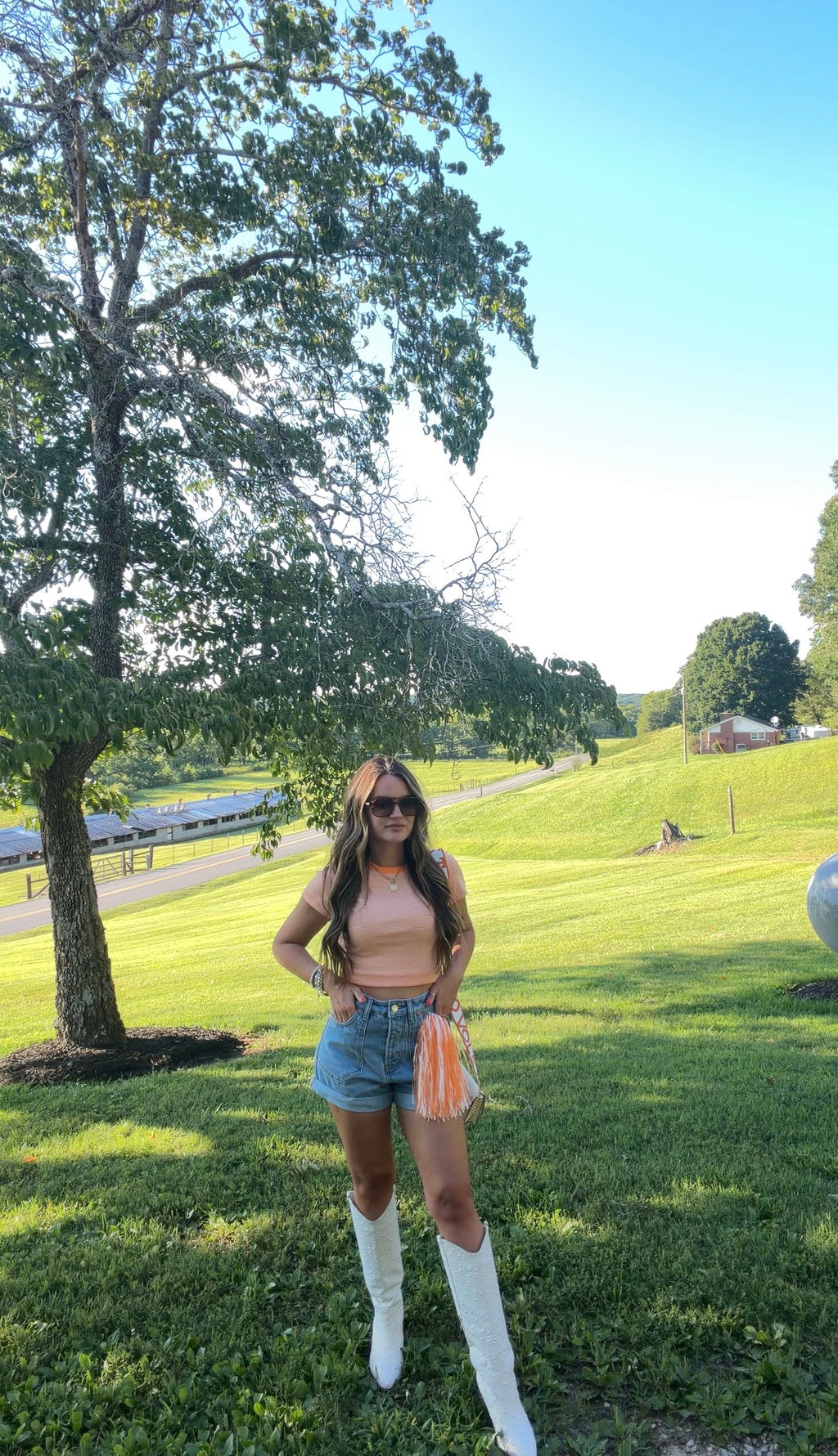 Rocky Top Stripe Top